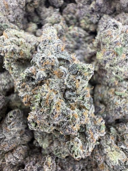 Buy Açaí Berry strain online | Açaí Berry weed for sale | Açaí Berry hybrid cannabis UK | Order Açaí Berry flower online | Premium Açaí Berry THC strain | Exotic Açaí Berry buds | Açaí Berry dispensary deals | Buy Açaí Berry weed USA | Shop Açaí Berry cannabis flower | Açaí Berry weed price | Order Açaí Berry bulk | Açaí Berry strain near me | Top Açaí Berry weed strain | Buy indica hybr