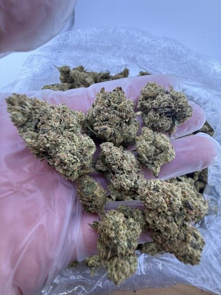 33 Flavors | THC hybrid cultivar research | Dreams Leaf Naturals analytical study | Cannabinoid quantification | Terpene mapping | Hybrid genetics research | Chromatographic calibration | GLP laboratory testing | Botanical chemistry education | Regulatory science research | Terpene volatility study | Analytical cannabinoid profiling | Hybrid strain analysis | Oxidative stability research | Compliance documentation training | Laboratory chemistry education | Cannabinoid stability testing | Analytical validation program | Chemical reproducibility study | Dreams Leaf scientific collection