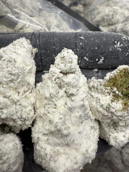 Snow Balls | Ice Caps | THC crystalline research | THCA isolate study | Dreams Leaf Naturals analytical testing | Cannabinoid crystallography | Solventless extraction analysis | GLP laboratory data | Chromatography calibration | FTIR spectroscopy | LC-MS/MS purity validation | Thermal degradation modeling | ISO 17025 compliance | Cannabinoid isolation research | Analytical chemistry training | High-purity concentrate | Quality control dataset | Crystal structure mapping | Laboratory reproducibility | Dreams Leaf scientific collection